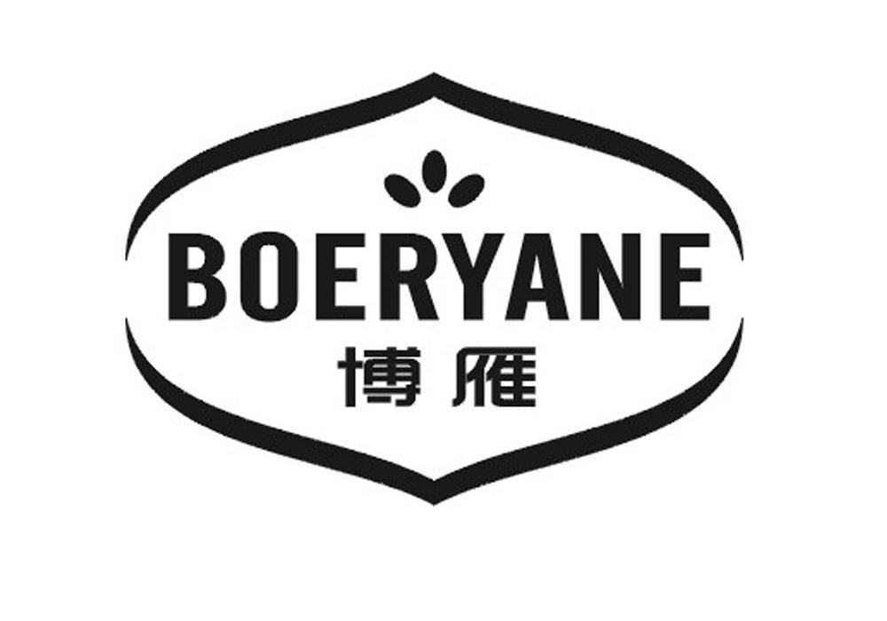 博雁 BOERYANE