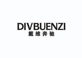 戴维奔驰 DIVBUENZI