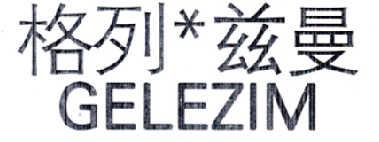 格列兹曼GELEZIM