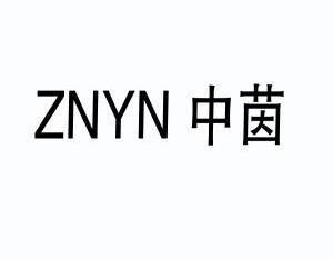 中茵ZNYN