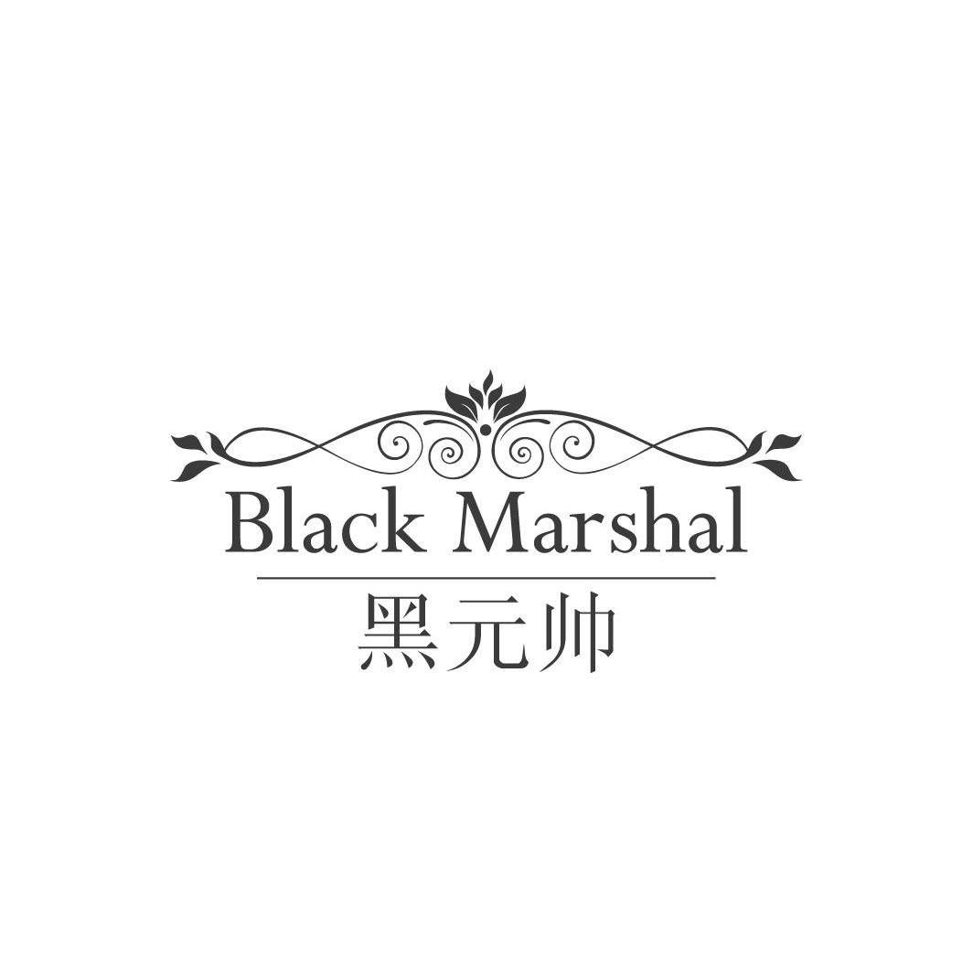 黑元帅BLACKMARSHAL