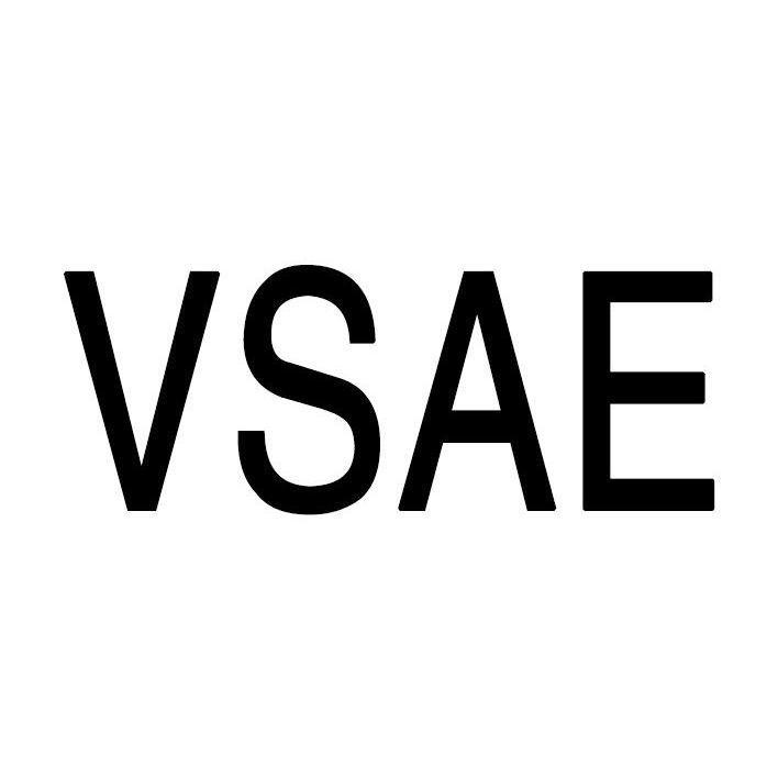 VSAE