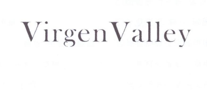 VIRGENVALLEY