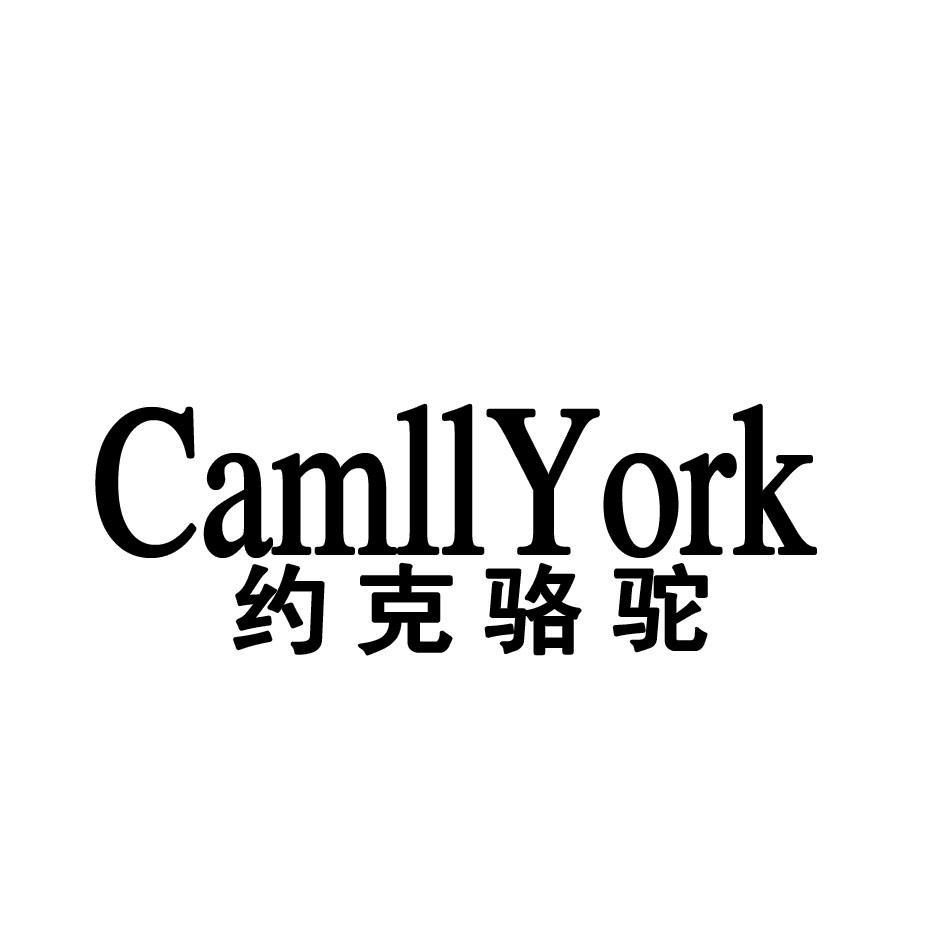 约克骆驼CAMLLYORK