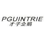 才子企鹅PGUINTRIE