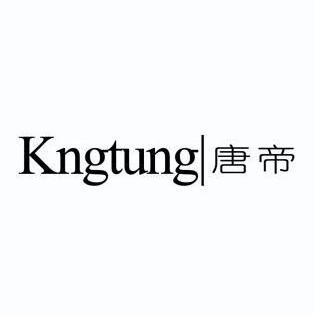 唐帝KNGTUNG